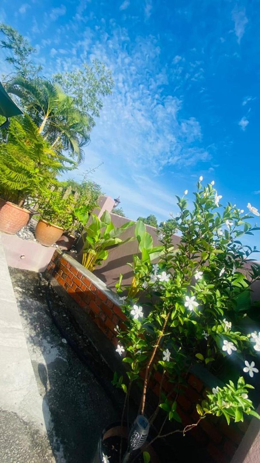 Motel Seri Mutiara Kuah Exterior foto